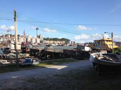 -澳门环岛游湾仔码头