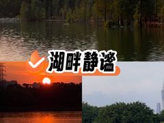 -海珠湖公园