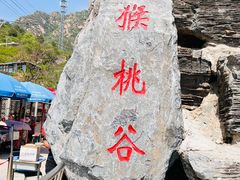 -大岭沟猕猴桃谷风景区