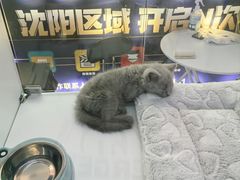 -万达广场(太原街店)