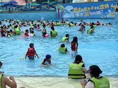 -海合安成都极地海洋公园