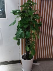 -永琪护肤造型