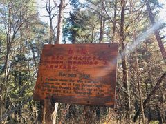 -五营红松林海景区