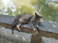-西园戒幢律寺