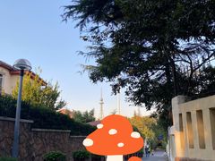 -八大关景区