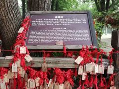 -乌镇西栅景区-月老庙