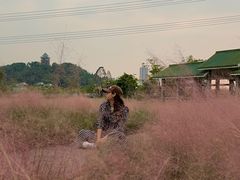 -王借岗森林公园