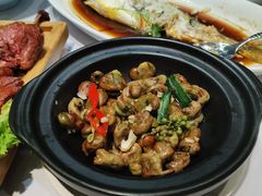-丰收日(五角场店)