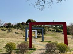 -西京湾花海
