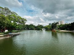 -荔湾湖公园