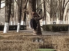 -中国农业博物馆