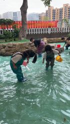 -可可天空农场(中大店)