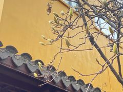 -龙华素斋(龙华路店)