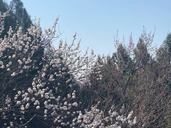 -居庸关长城