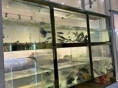 -小乡小镇·传承桐庐土菜·老板亲自烧的菜