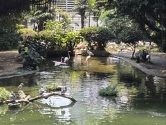 -九龙公园