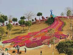-东莞植物园
