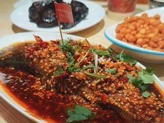 -杨氏青龙虾·羊蝎子(珠江路店)