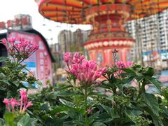 -汕头星城湾欢乐世界