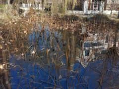 -天津东丽湖风景区