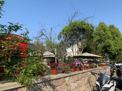 -树山生态村