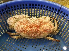 -海九澎湖海鲜餐厅