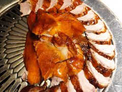 -守柴炉烤鸭(科华中路王府井店)