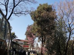 -昆明动物园