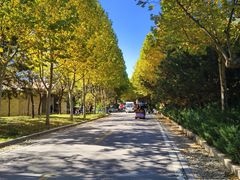 -石家庄市动物园