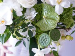 -花生FM_FLOWERS