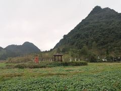 -靖西鹅泉风景区
