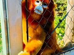 -哈尔滨北方森林动物园