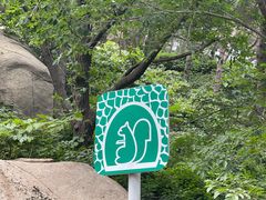 -鲁山国家森林公园