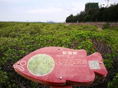 -北海金海湾红树林生态旅游区