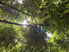 -成都杜甫草堂博物馆