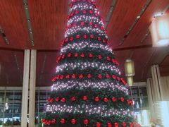 -山港凯悦酒店·东海88私房菜