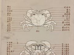 -上海自然博物馆