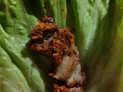 -山居屋炭火烧肉(厚街万达店)