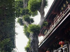 -叩齿古寺