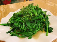 野油菜-老成渝川菜馆(麦溪路店)