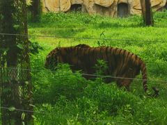 -秦皇岛野生动物园
