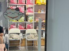 -爱洗澡的猫(望京店)