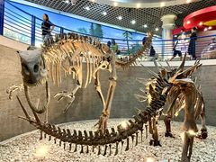 -国家自然博物馆