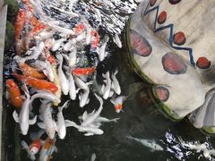 -世界地热博览园