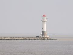 -上海滨江森林公园