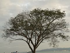 -音乐广场