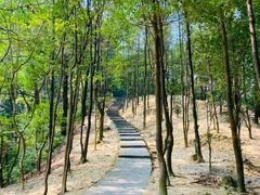 -火炉山森林公园
