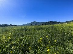 -扁都口生态休闲旅游区