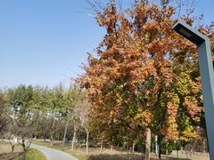 -东郊湿地公园