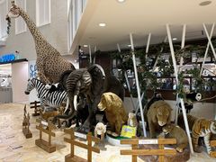 -阪急百货店(梅田总店)